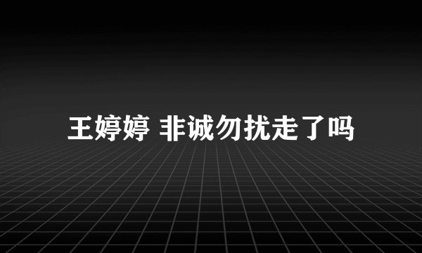 王婷婷 非诚勿扰走了吗