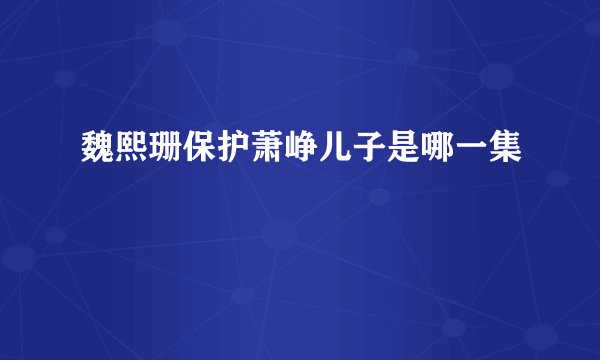 魏熙珊保护萧峥儿子是哪一集