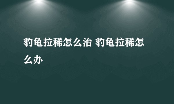 豹龟拉稀怎么治 豹龟拉稀怎么办