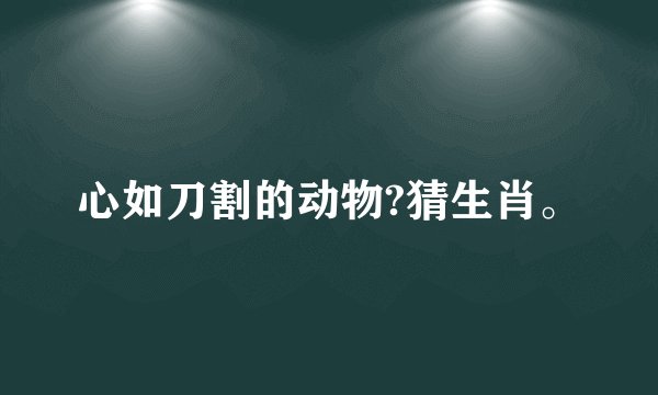 心如刀割的动物?猜生肖。