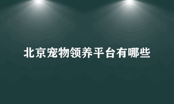 北京宠物领养平台有哪些
