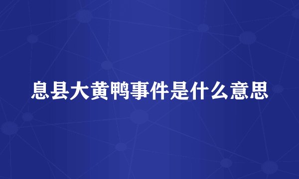 息县大黄鸭事件是什么意思