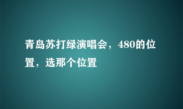 青岛苏打绿演唱会，480的位置，选那个位置