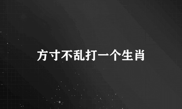 方寸不乱打一个生肖