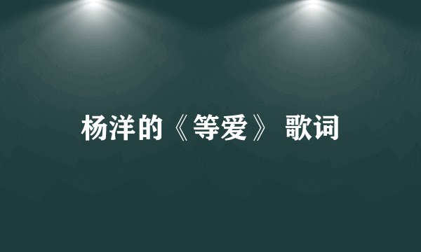 杨洋的《等爱》 歌词