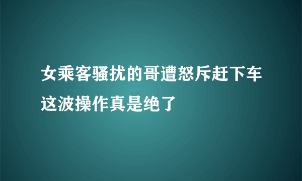 女乘客骚扰的哥遭怒斥赶下车这波操作真是绝了