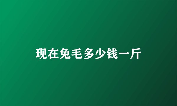 现在兔毛多少钱一斤