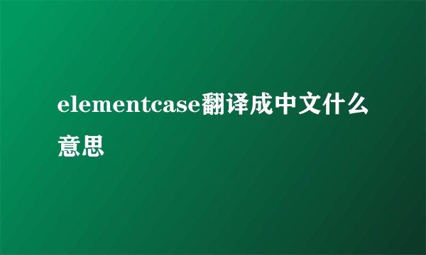 elementcase翻译成中文什么意思