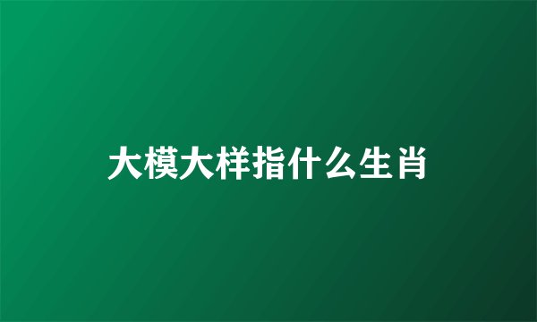 大模大样指什么生肖