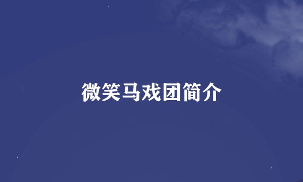 微笑马戏团简介