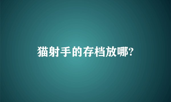 猫射手的存档放哪?