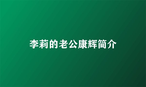 李莉的老公康辉简介