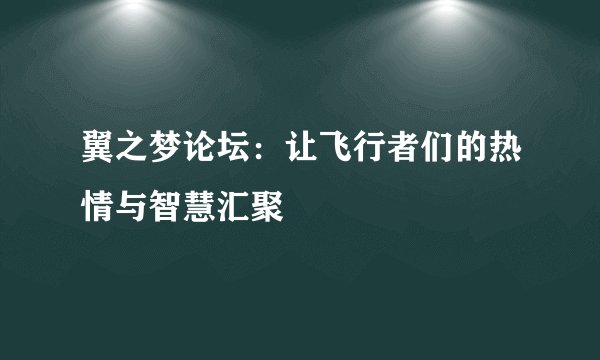 翼之梦论坛：让飞行者们的热情与智慧汇聚