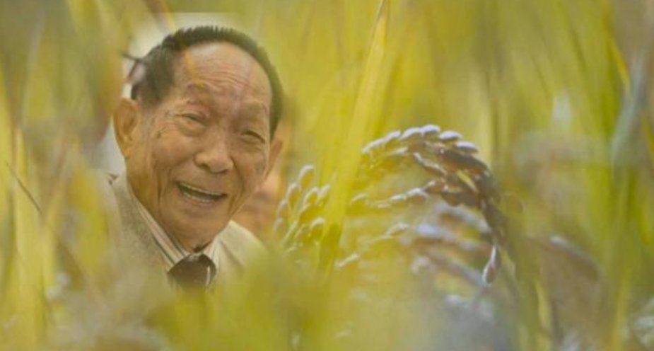 市民深夜排长队悼念袁老,袁老有什么突出的贡献?