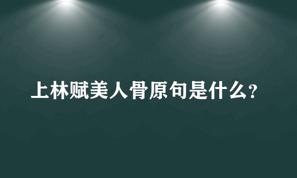 上林赋美人骨原句是什么？