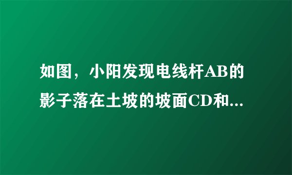 如图，小阳发现电线杆AB的影子落在土坡的坡面CD和地面BC上．量得CD=8米，BC=20米，CD与地面成30°角，且