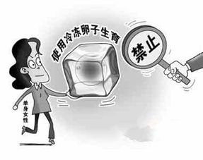生育政策日渐宽松，单身生育会被更多人接受吗？你怎么看？