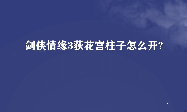 剑侠情缘3荻花宫柱子怎么开?