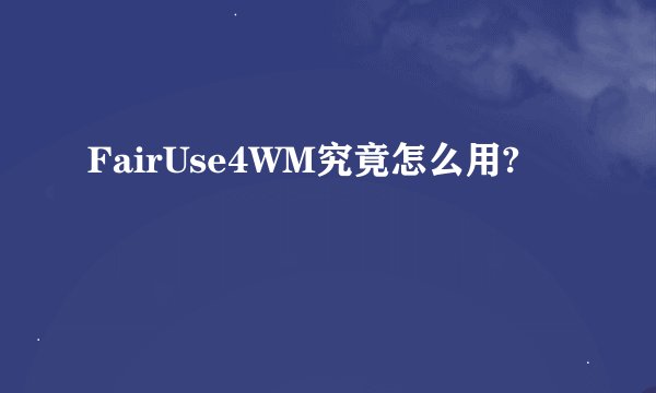 FairUse4WM究竟怎么用?