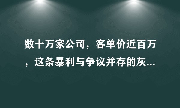 数十万家公司,客单价近百万,这条暴利与争议并存的灰色产业链