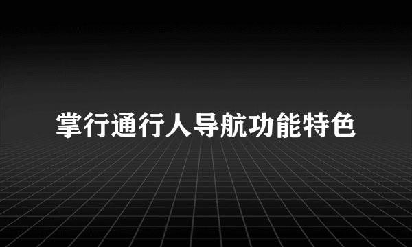 掌行通行人导航功能特色