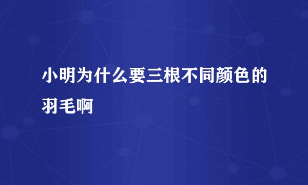 小明为什么要三根不同颜色的羽毛啊