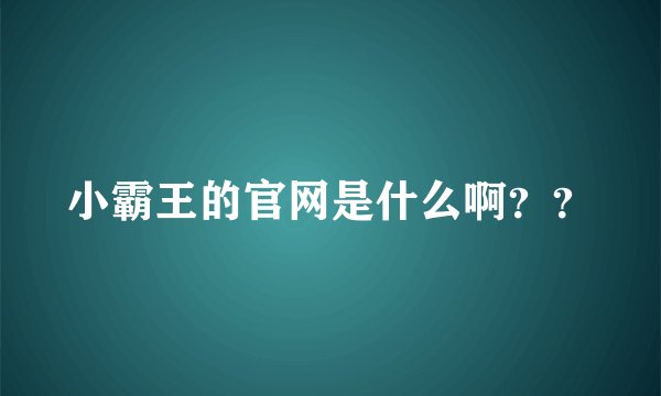 小霸王的官网是什么啊??