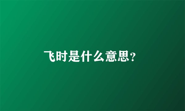 飞时是什么意思?
