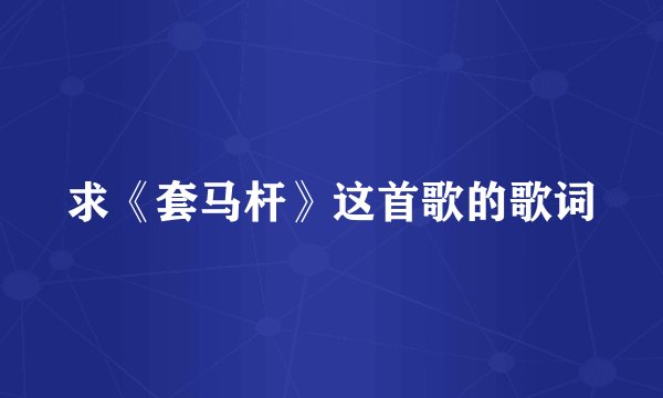 求《套马杆》这首歌的歌词