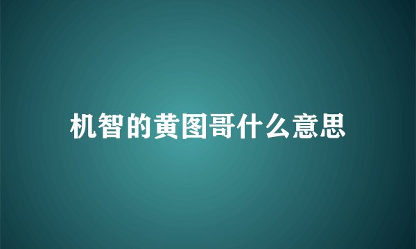 机智的黄图哥什么意思