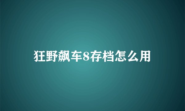 狂野飙车8存档怎么用