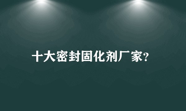 十大密封固化剂厂家？