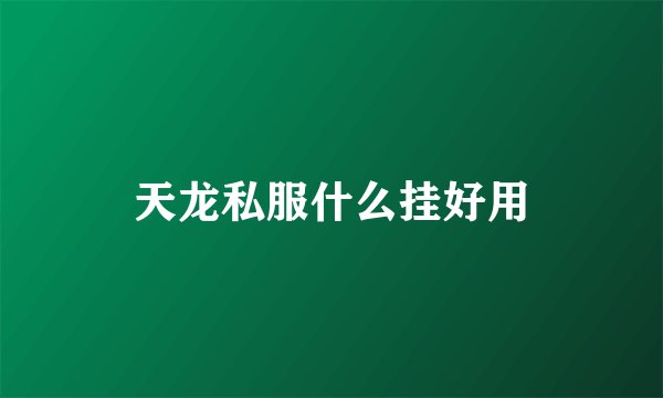 天龙私服什么挂好用