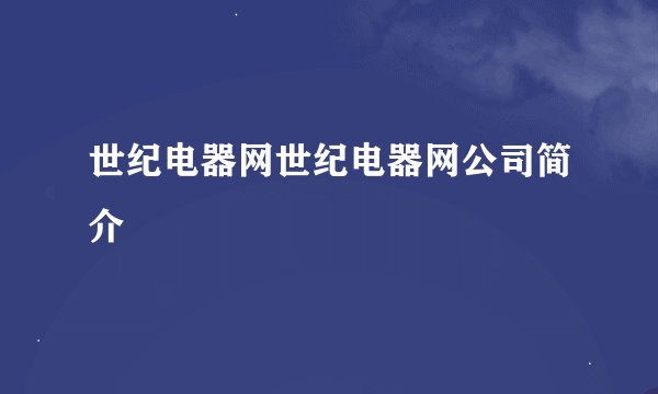 世纪电器网世纪电器网公司简介