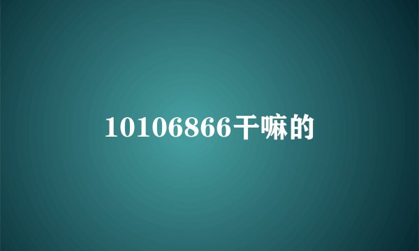 10106866干嘛的
