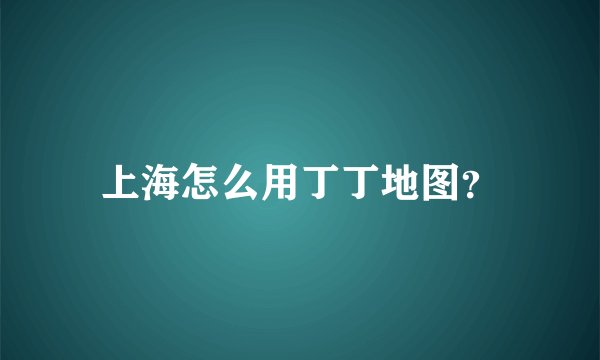 上海怎么用丁丁地图？