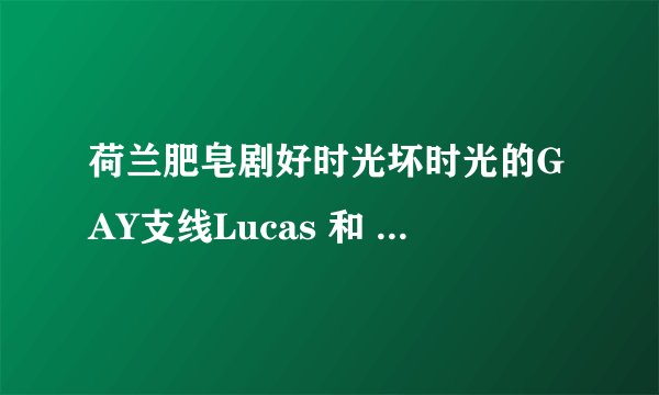 荷兰肥皂剧好时光坏时光的GAY支线Lucas 和 Edwin 的故事的结局是什么？