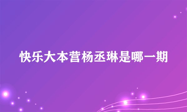 快乐大本营杨丞琳是哪一期