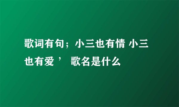 歌词有句；小三也有情 小三也有爱 ’ 歌名是什么