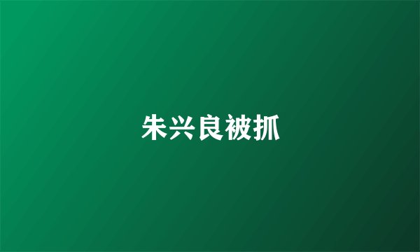 朱兴良被抓