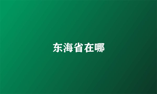 东海省在哪