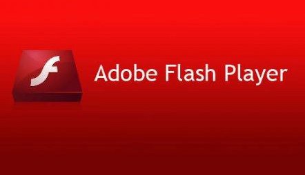 flash8注册码是多少？