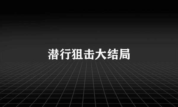 潜行狙击大结局