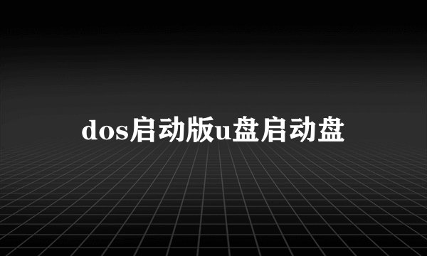 dos启动版u盘启动盘