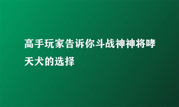 高手玩家告诉你斗战神神将哮天犬的选择