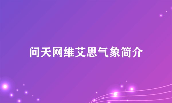 问天网维艾思气象简介