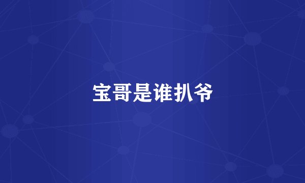 宝哥是谁扒爷