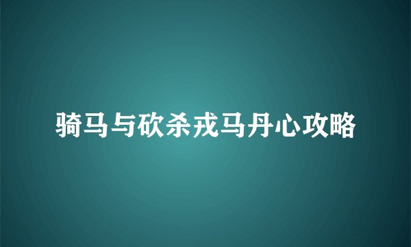 骑马与砍杀戎马丹心攻略