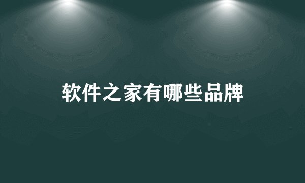 软件之家有哪些品牌