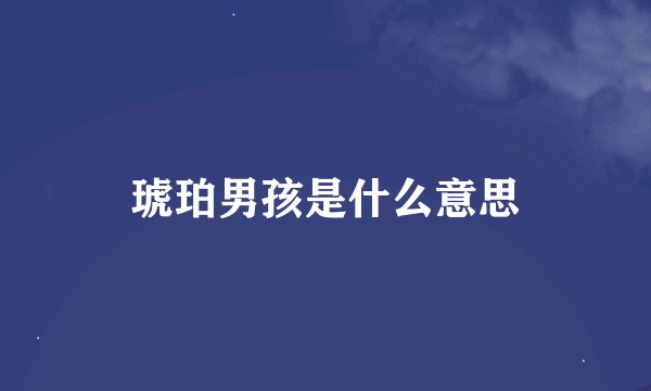 琥珀男孩是什么意思